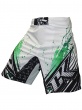 Шорты ММА Contract Killer Stained S2 Shorts - White/Green